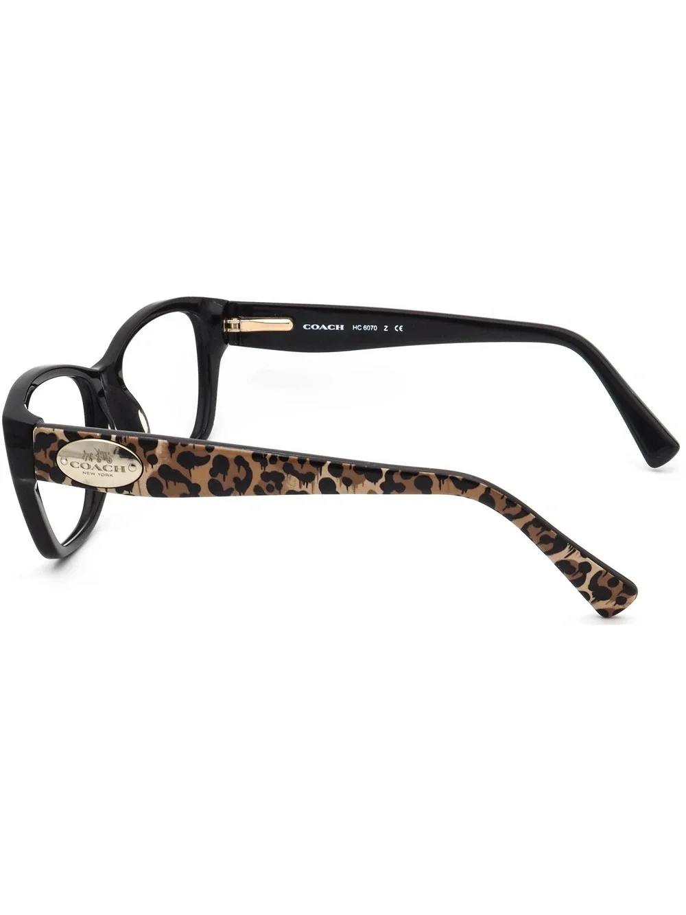 Coach HC 6070 5342 Eyewear
